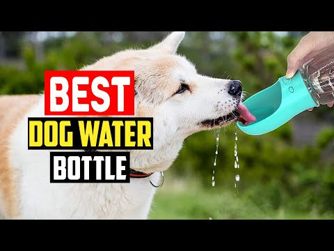 DOG WATER BOTTLE