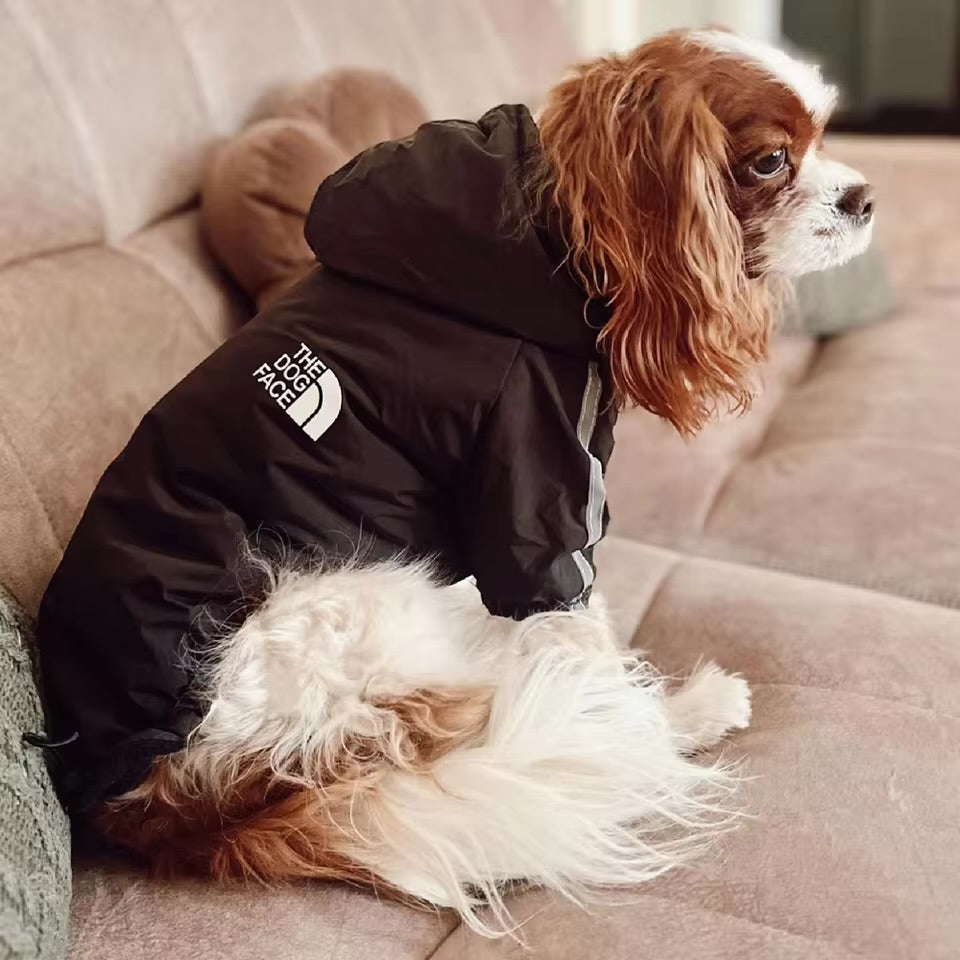 Dogs winter Jacket