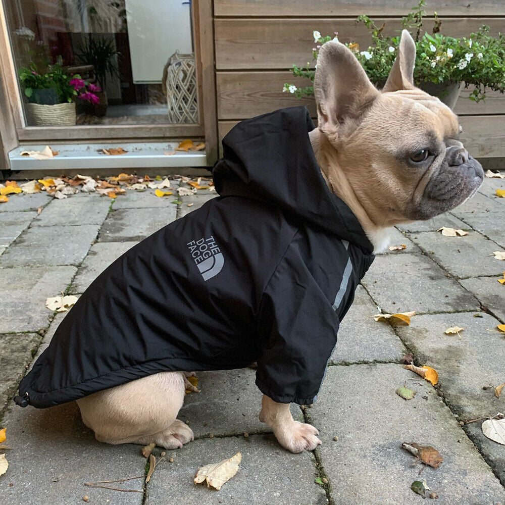 Dogs winter Jacket