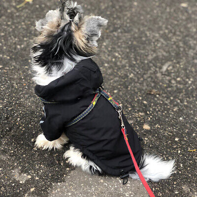 Dogs winter Jacket