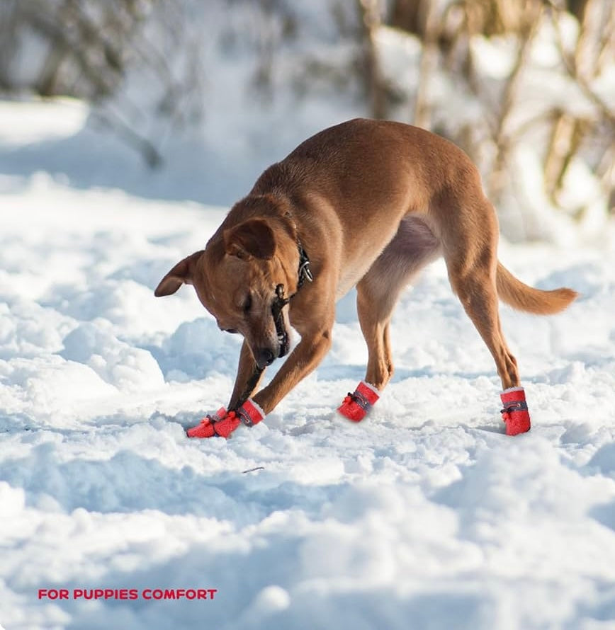 Waterproof Dog Shoes