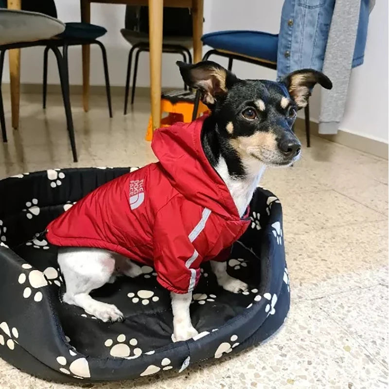 Dogs winter Jacket