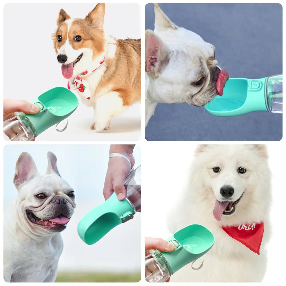 DOG WATER BOTTLE