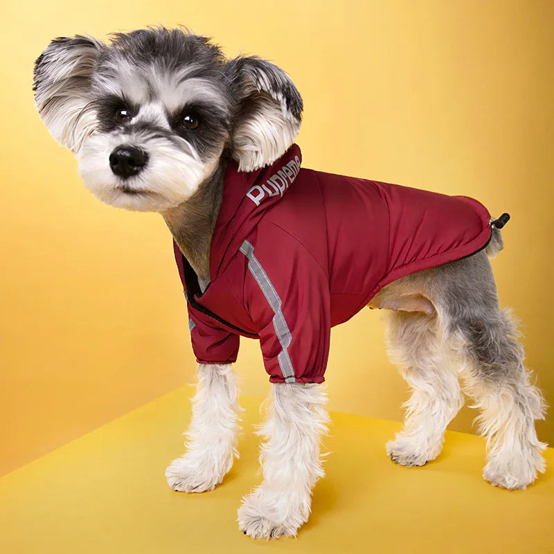 Dogs winter Jacket