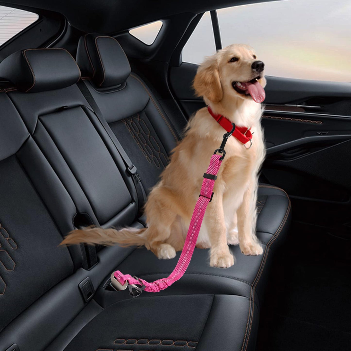 Pet Car Seat  Belt