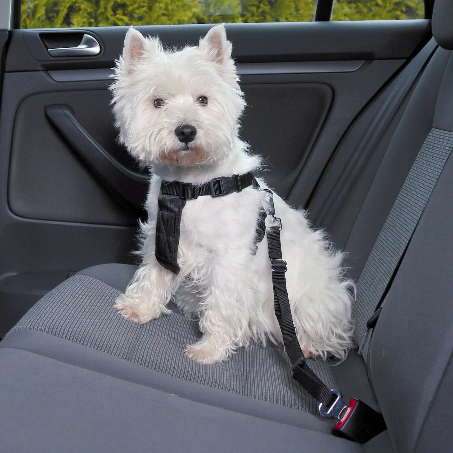 Pet Car Seat  Belt