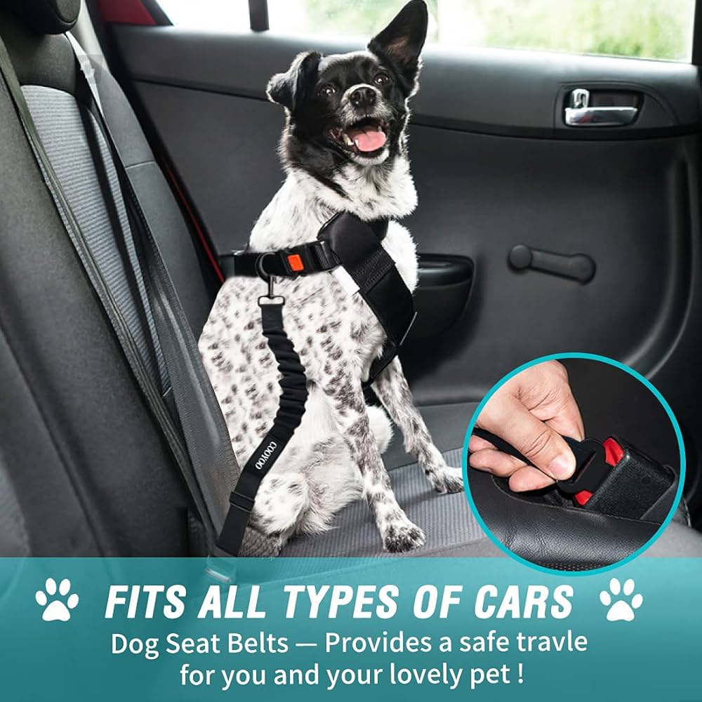 Pet Car Seat  Belt